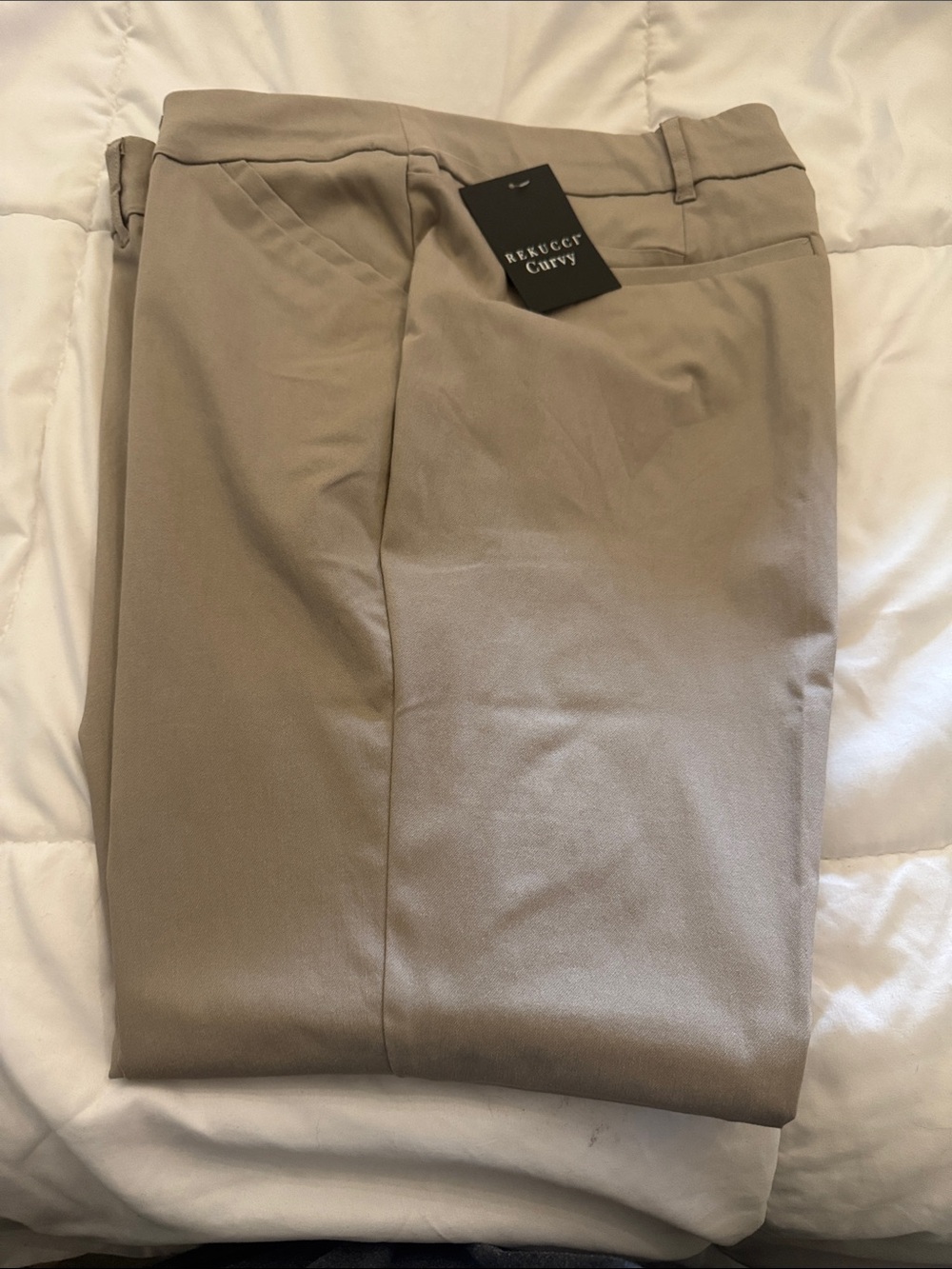 Curvy Woman’s Beige Dress Pants